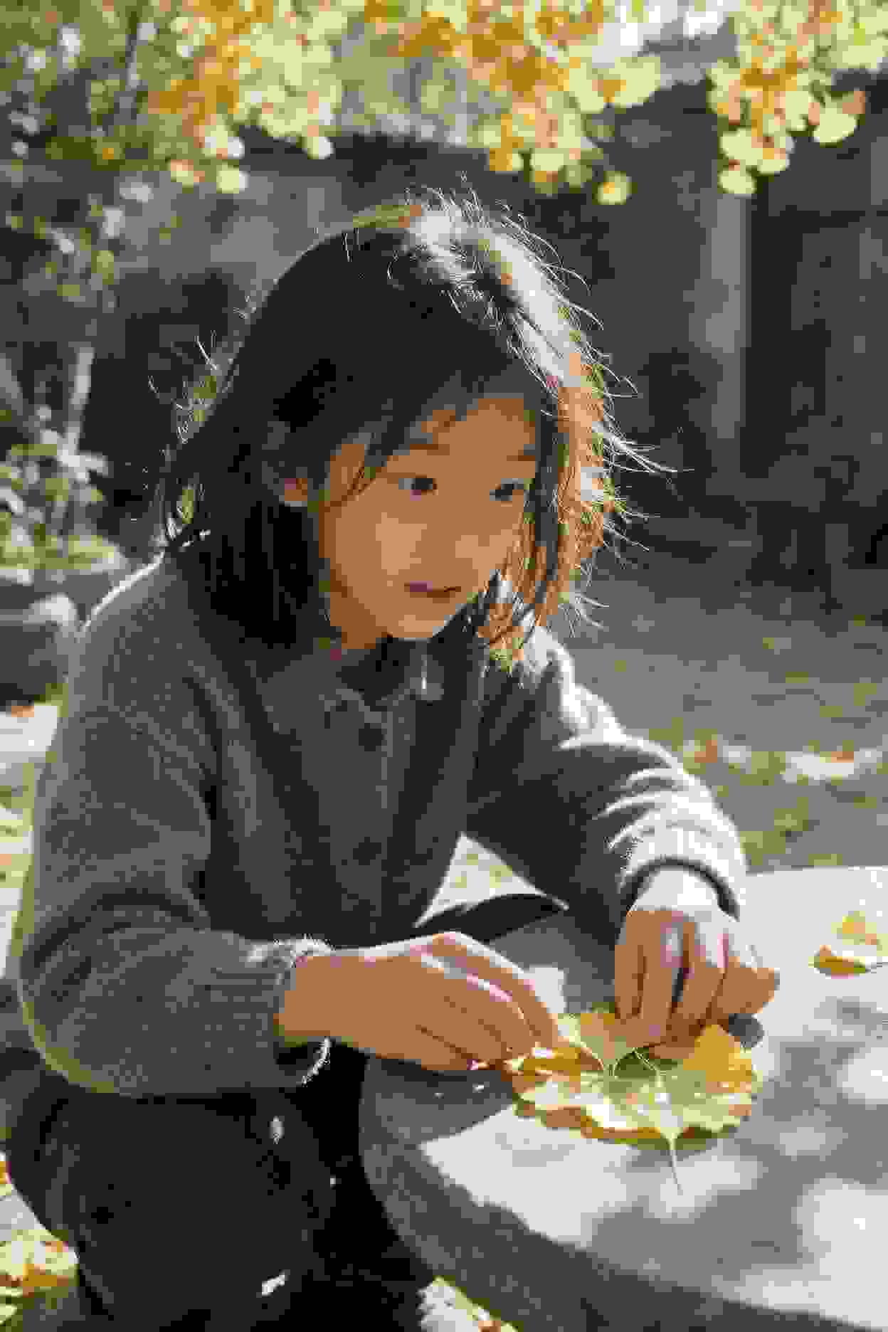 春季赏花